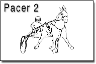 Pacer1a