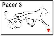 Pacer3